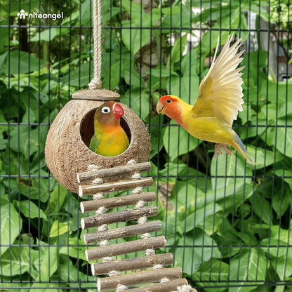 Coconut Bird House Toy with Ladder for Small Pets