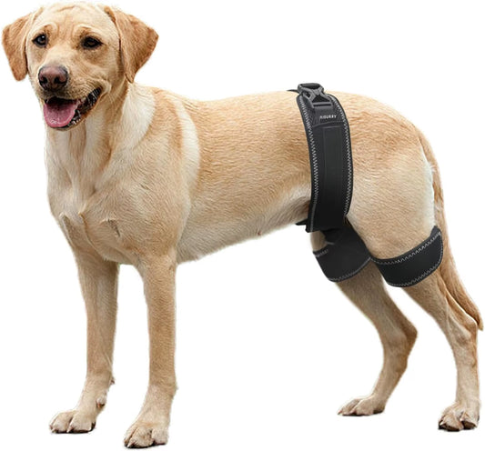 flexipaws hip brace – comfort & support for stronger, healthier hips | pet supplies for dogs & cats for pets