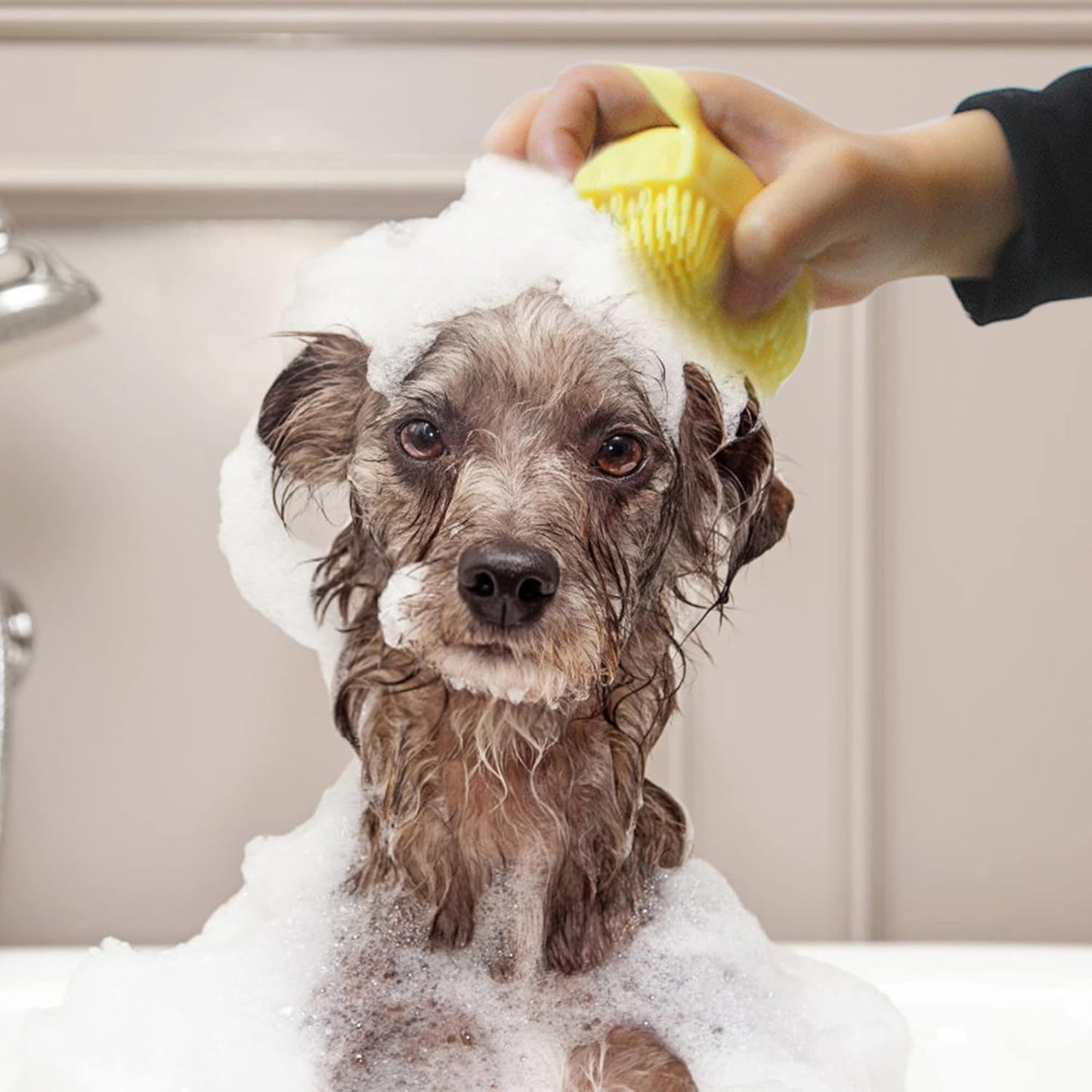 silicone pet grooming fur brush | pet supplies for dogs & cats for pets