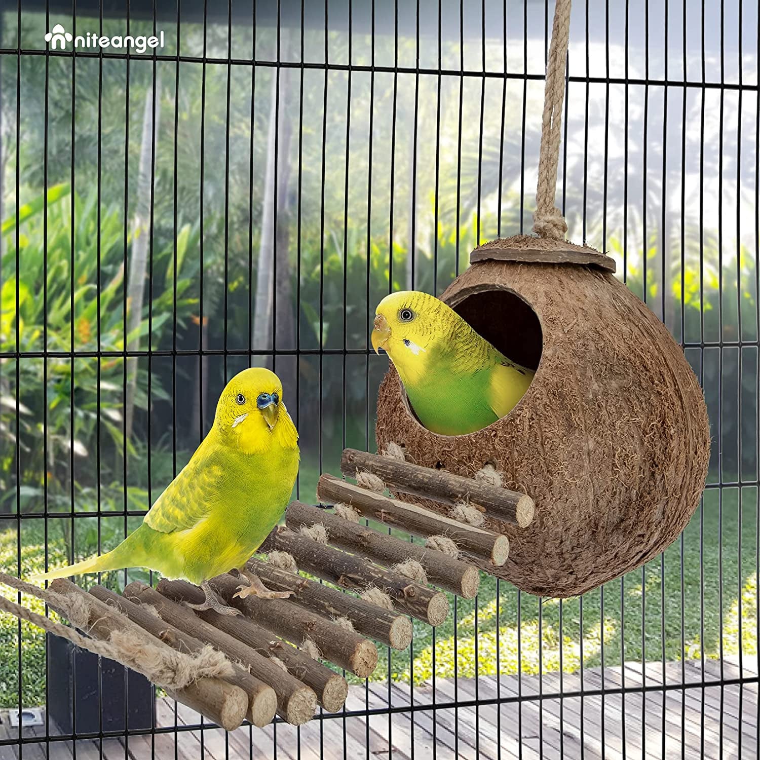 Coconut Bird House Toy with Ladder for Small Pets