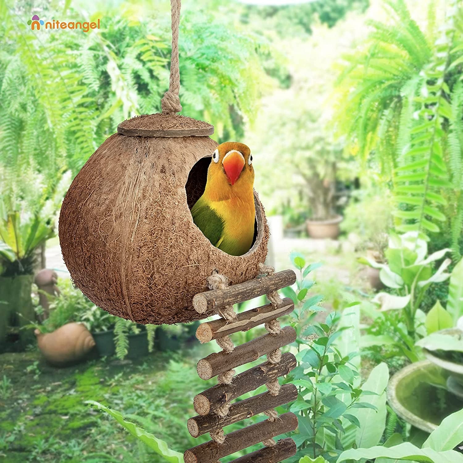 Coconut Bird House Toy with Ladder for Small Pets