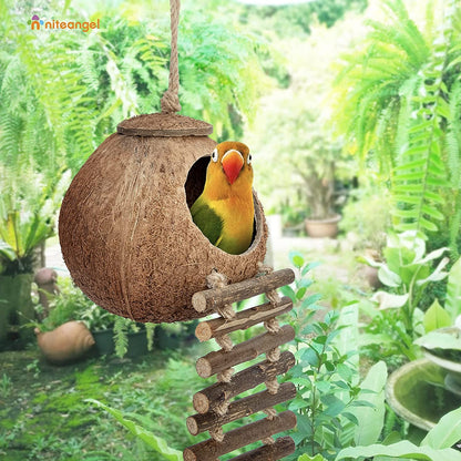 Coconut Bird House Toy with Ladder for Small Pets
